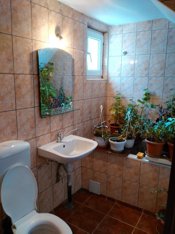 Vila Marcela Busteni Room photo