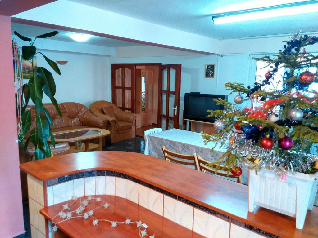 Vila Marcela Busteni Room photo