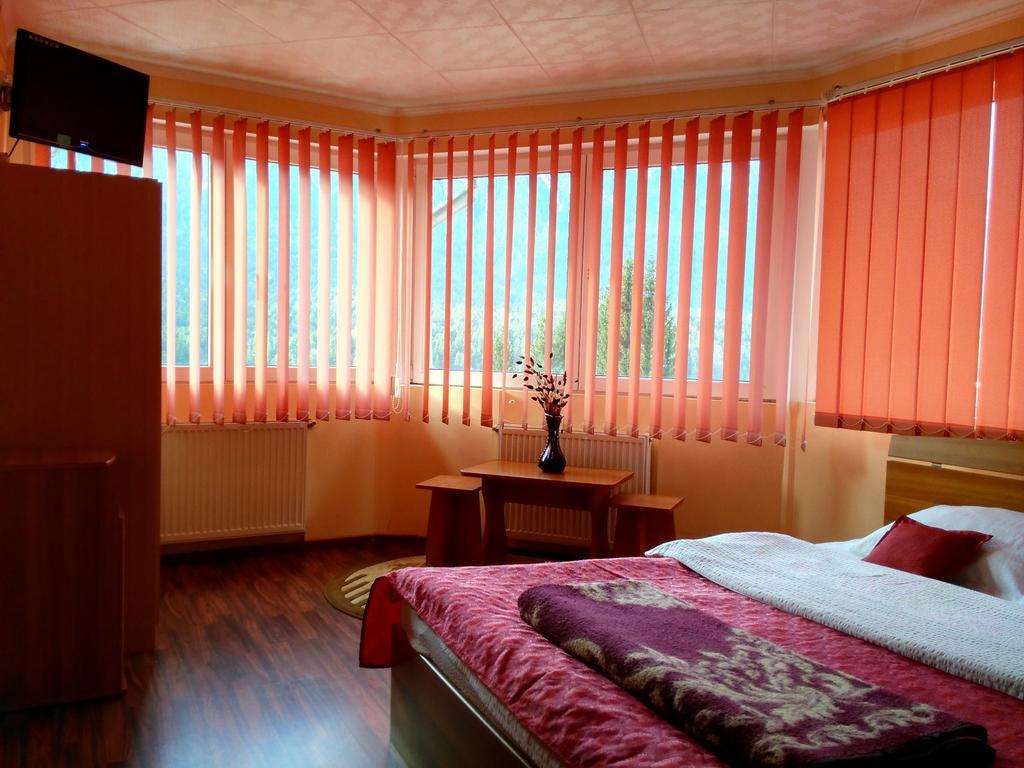 Vila Marcela Busteni Room photo