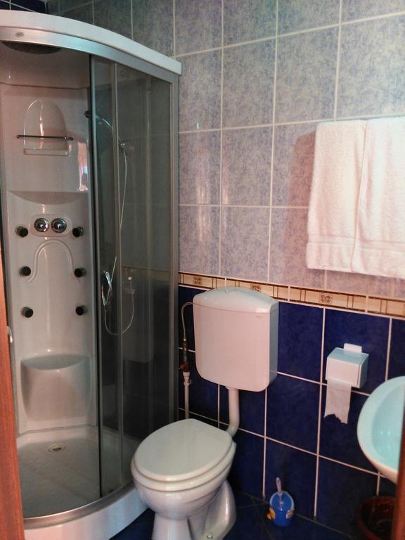 Vila Marcela Busteni Room photo